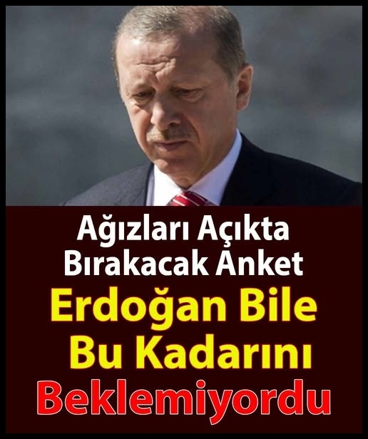 Anket Sonucu galerisi resim 1