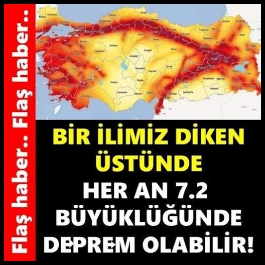 Şener Üşümezsoy’dan galerisi resim 1