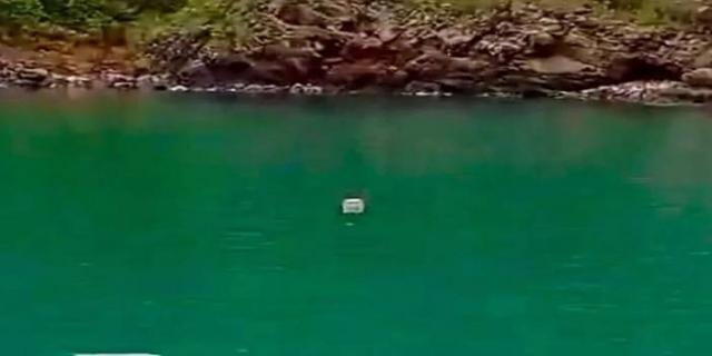 Neler oluyor galerisi resim 2