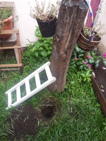 Dedesinin Kendisine Bıraktığı Mektubu Okuyunca, Mektupta Yazan Yere Gide galerisi resim 12