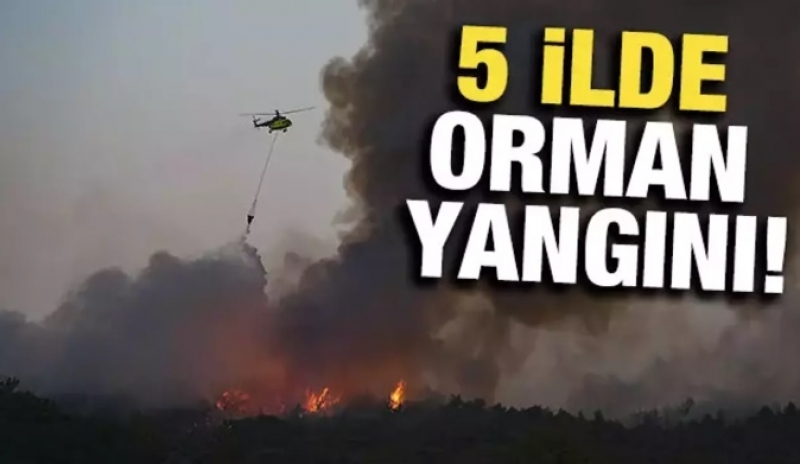 Biraz Evvel Yaşandı galerisi resim 2