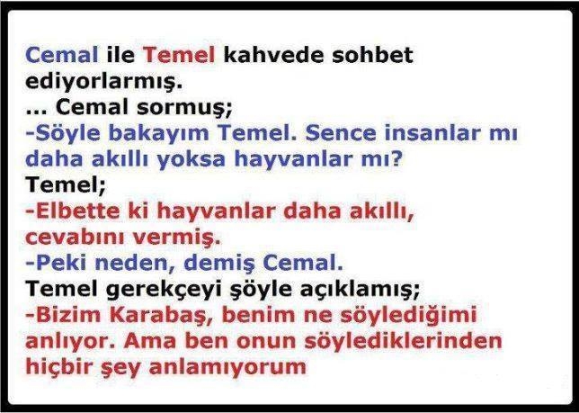 Güzel fıkralar... galerisi resim 3