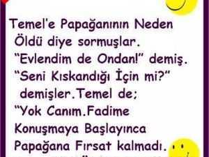Güzel fıkralar...