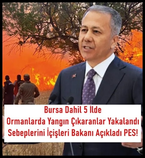 İçişleri Bakanı Yangın Açıklaması galerisi resim 1