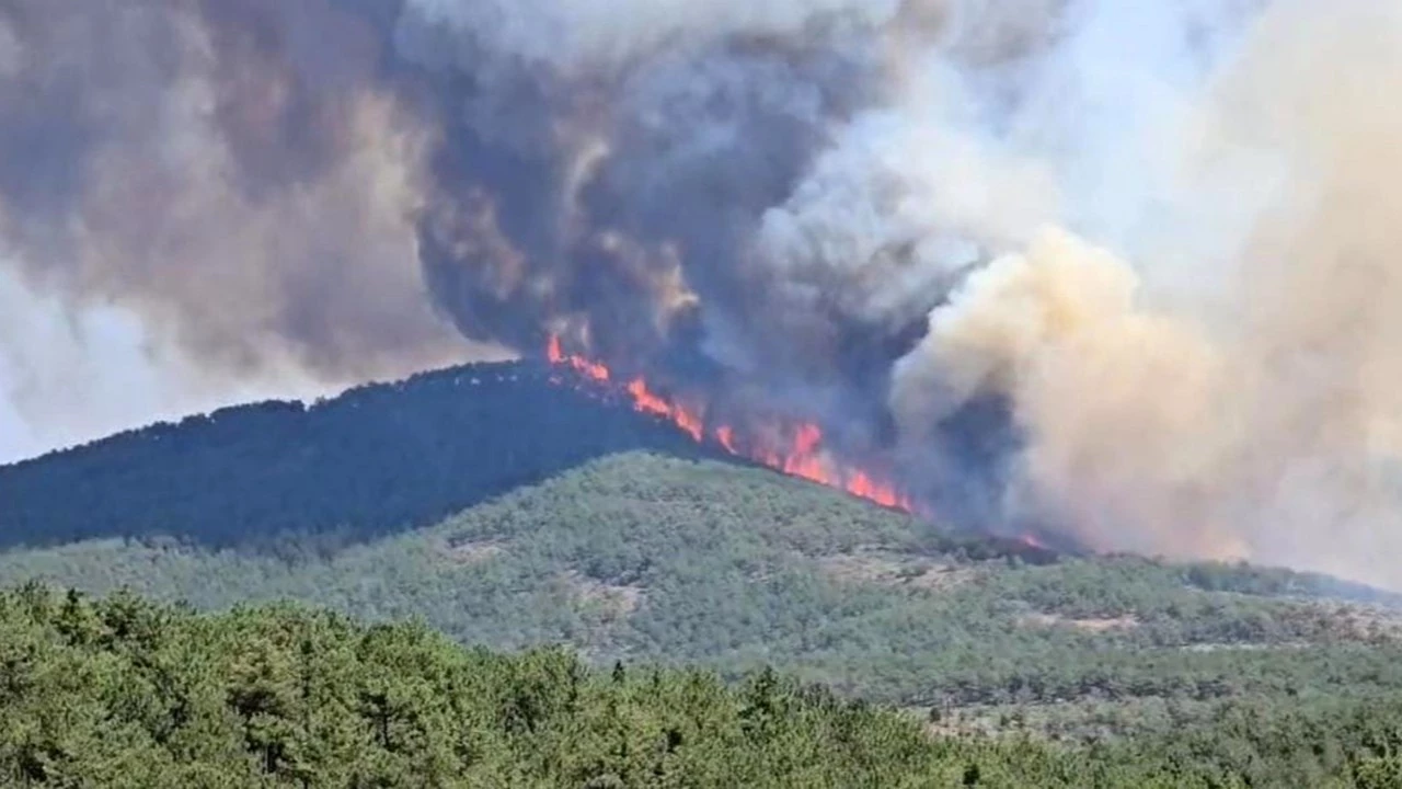 BURSA'DA ALEVLER HIZLA İLERLİYOR galerisi resim 2