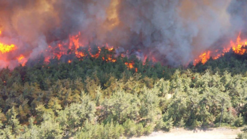 Yangını Çıkaranın Amacı galerisi resim 3