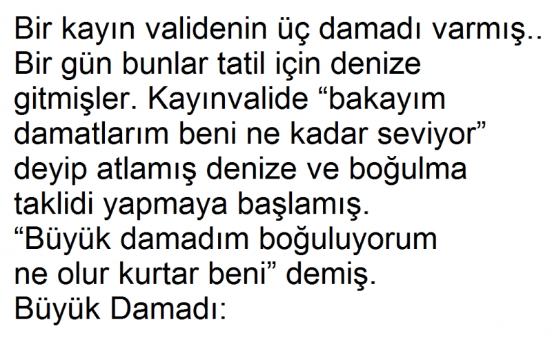 Bir Kayın Validenin Üç Damadı Varmış… galerisi resim 2