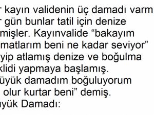 Bir Kayın Validenin Üç Damadı Varmış…