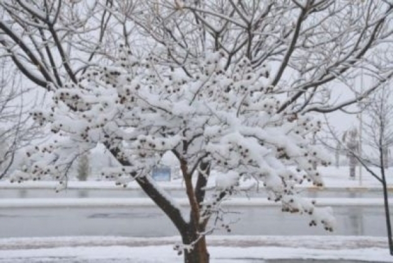 Meteorolojiden Uyarı Geldi! galerisi resim 6
