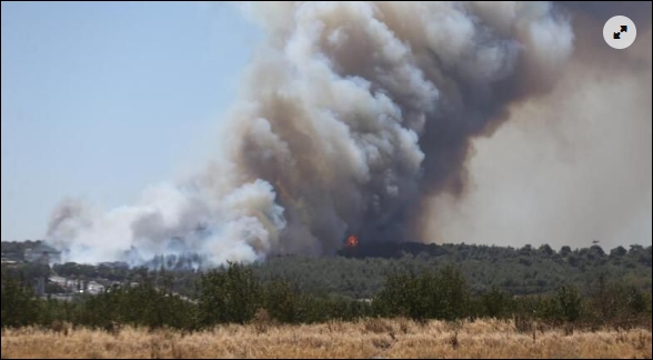 Mersine giriş çıkışlar kapatıldı galerisi resim 2