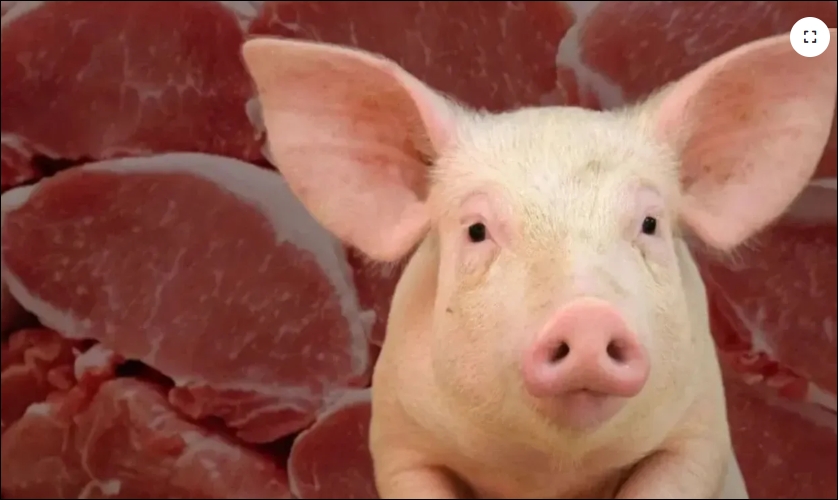 Ünlü markanın sucuğunda domuz eti tespit edildi galerisi resim 1