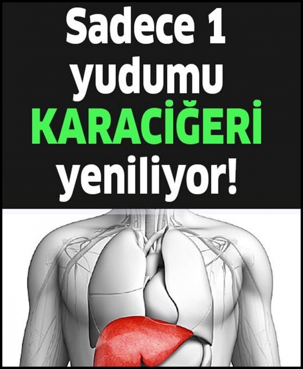 1 Yudumu Karaciğeri Yenilemeye Göbeği Dümdüz Yapmaya Yetiyor galerisi resim 1