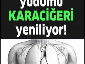1 Yudumu Karaciğeri Yenilemeye Göbeği Dümdüz Yapmaya Yetiyor