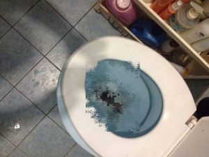 Tüyleri diken diken eden olay! Klozetin içinden öyle bir şey çıktı ki…