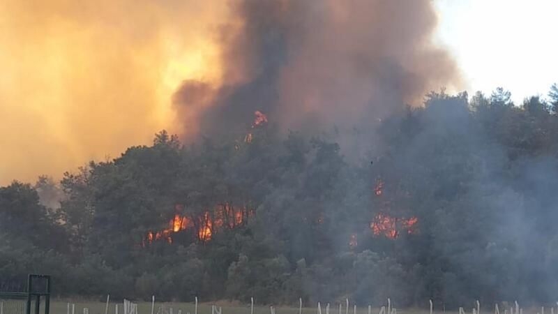 İzmiri yakan kim çıktı galerisi resim 2