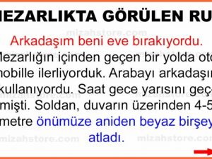 Mezarlıkta Görülen Ruh