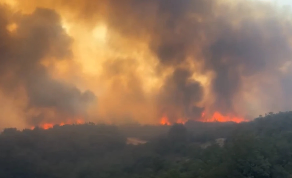 Aydın'dan acı haber galerisi resim 2