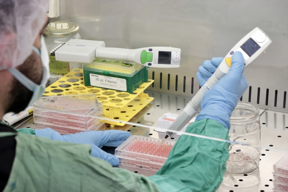 Korkunç virüs o ülkeyi esir aldı galerisi resim 2