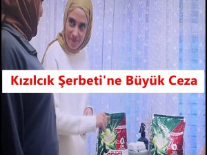 Kızılcık Şerbeti Dizisi
