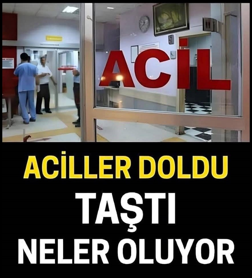 Herkes dikkatli olmak zorunda galerisi resim 1