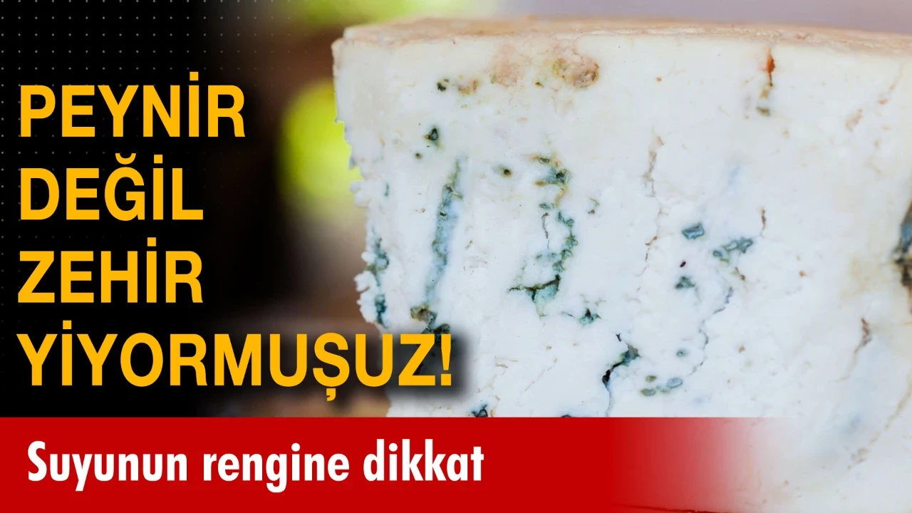 Peynir Yerine Zehir Satılıyormuş! galerisi resim 1