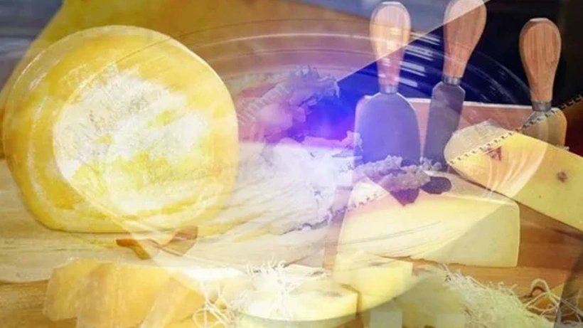 Peynir Yerine Zehir Satılıyormuş! galerisi resim 3