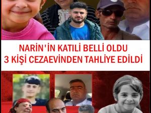 Narin Güran Davası