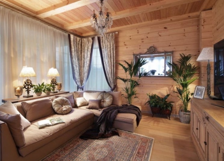 Evine karınca geliyorsa galerisi resim 1