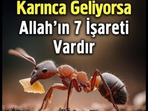 Evinize karınca geliyorsa