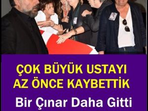 Büyük bir çınar daha