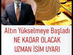 Altın'da rekor, uzman isimden uyarı.
