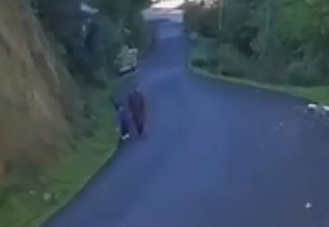 Otopsi raporu ortaya çıktı. galerisi resim 3