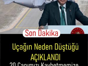 Düşen Uçak Hakkında