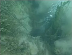 Şener Üşümezsoy o bölgeye işaret etmişti: galerisi resim 3