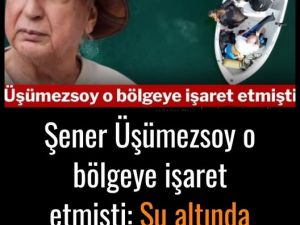 Şener Üşümezsoy o bölgeye işaret etmişti: