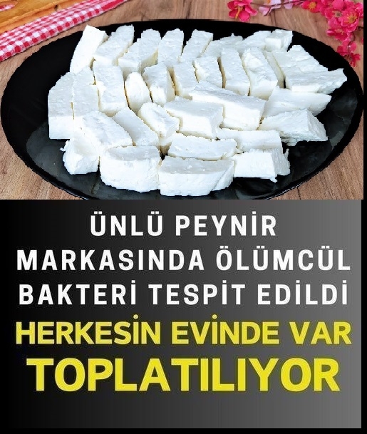 Hepimiz peynir diye yiyoruz ama. galerisi resim 1