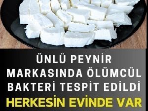 Hepimiz peynir diye yiyoruz ama.