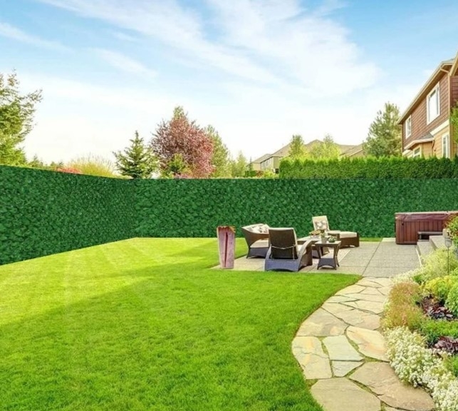 Bir kertenkele evinize geldiğinde galerisi resim 1