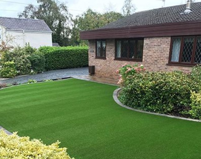 Bir kertenkele evinize geldiğinde galerisi resim 2