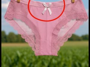 Kadın iç çamaşırlarında neden küçük bir fiyonk olduğu