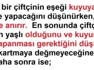 Kuyuya Düşen Eşşek