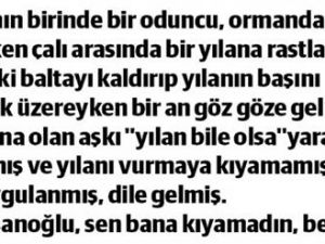 Yılan ile oduncu hikayesi