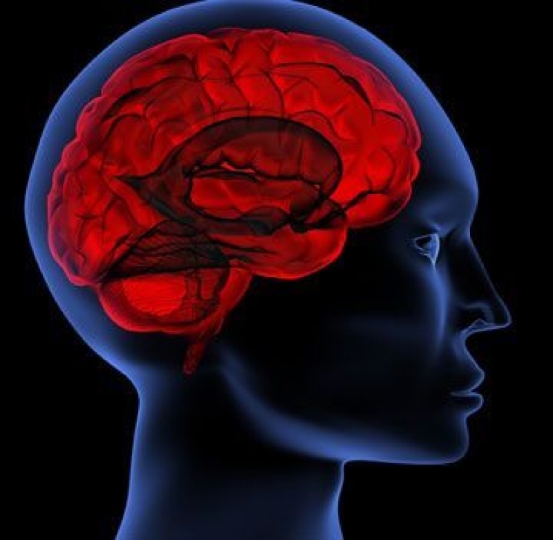 Beyninizi Nasıl Kullanıyorsunuz? TEST EDİN galerisi resim 13