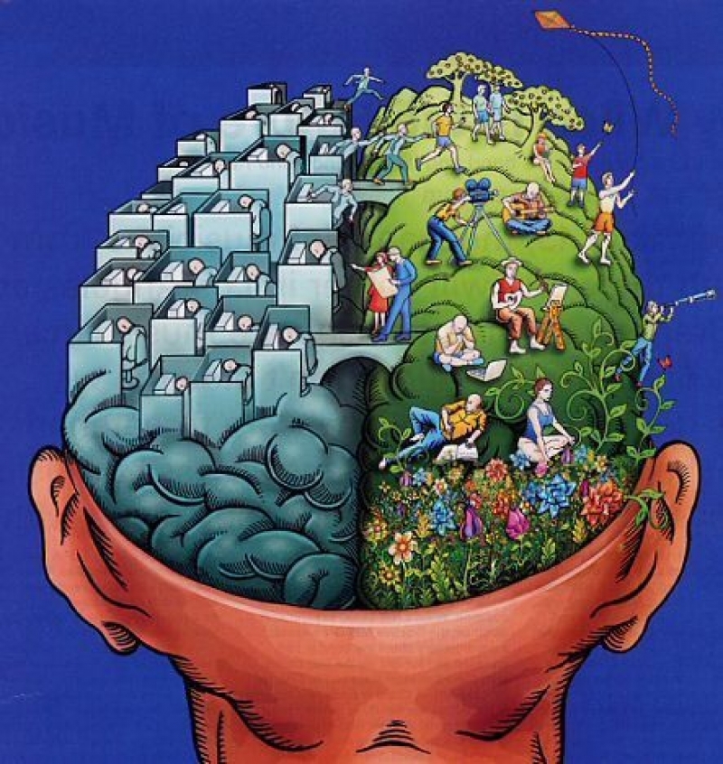 Beyninizi Nasıl Kullanıyorsunuz? TEST EDİN galerisi resim 20