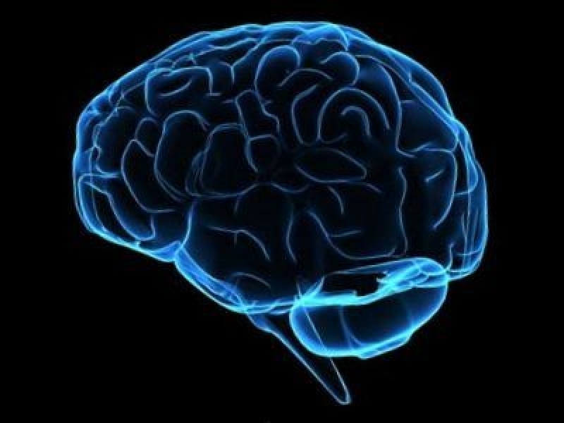 Beyninizi Nasıl Kullanıyorsunuz? TEST EDİN galerisi resim 9