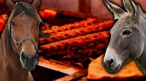 Bu firmalardan uzak durun. galerisi resim 4