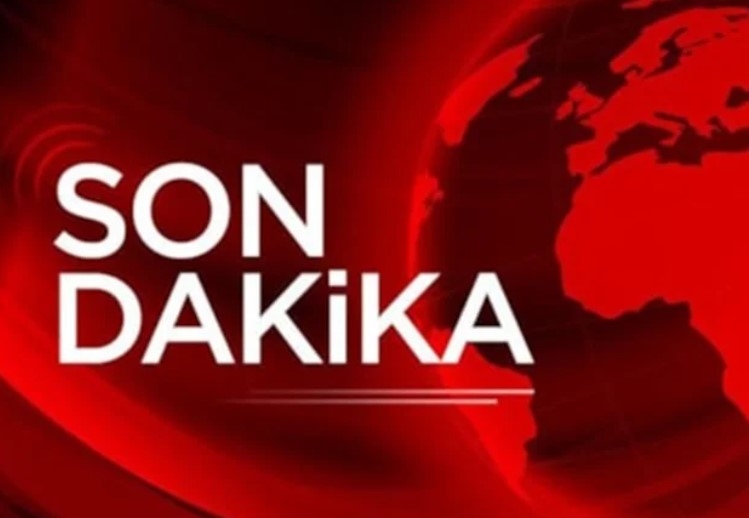 Usta sanatçı Sezen Aksu galerisi resim 1