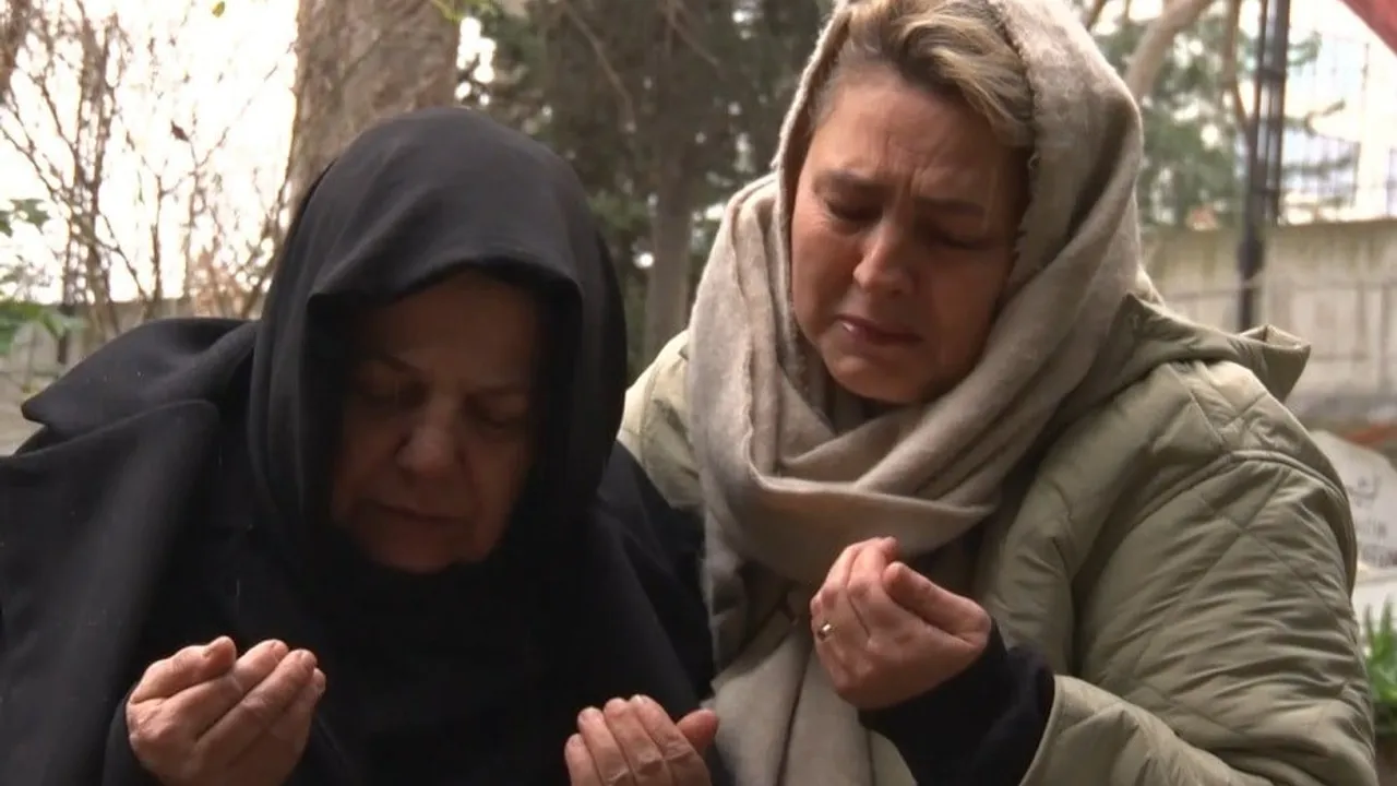 Atlas ailesi Hakkında galerisi resim 4