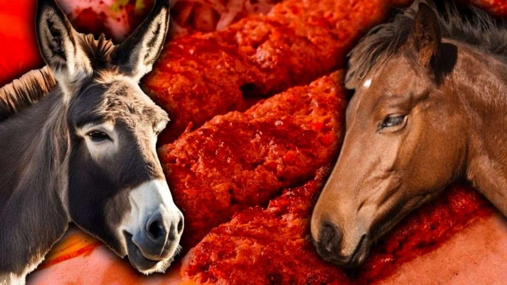 Bu firmalardan uzak durun. galerisi resim 2