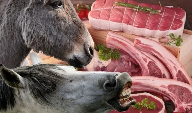 Bu firmalardan uzak durun. galerisi resim 3